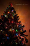 Christmas Lights II by devilshark