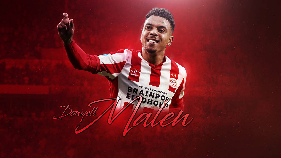 والپیپر دونیل مالن والپیپر دونیل مالن