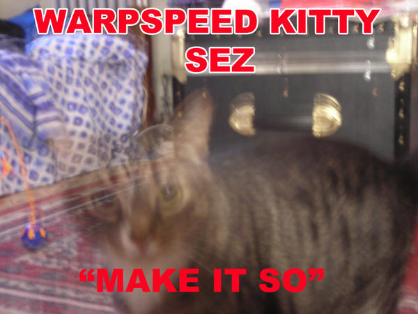 Warpspeed Kitty