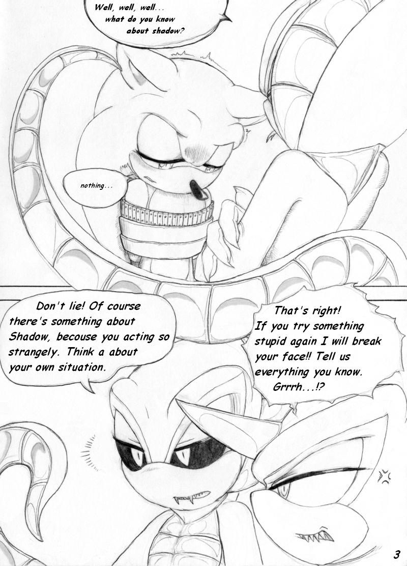 SonicZ - page 3