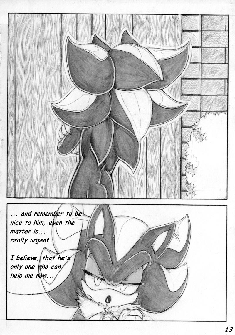 SonicZ page 13