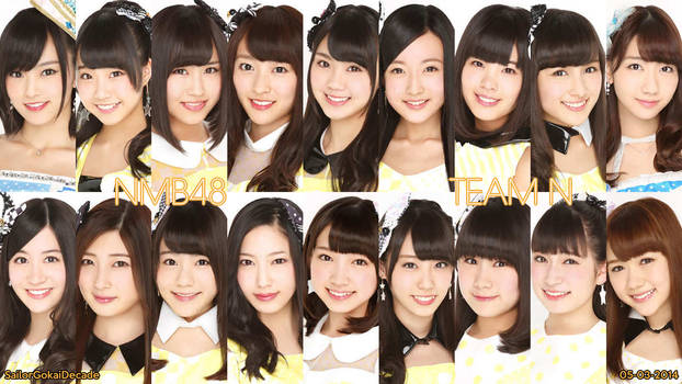 NMB48 Team N 2014