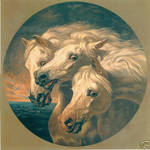 horses original by indeestudios