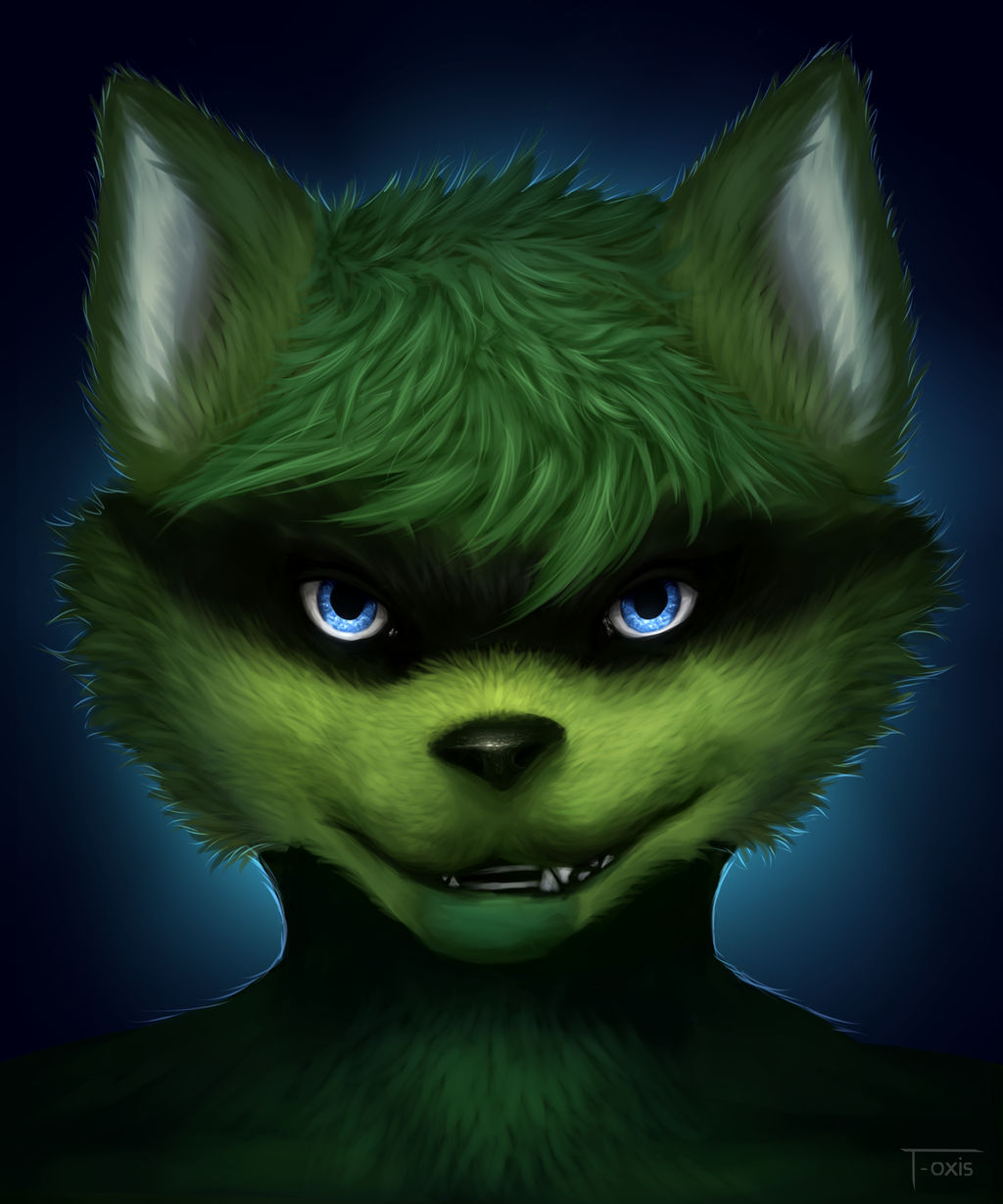racoon by HumanHyenaProject on DeviantArt
