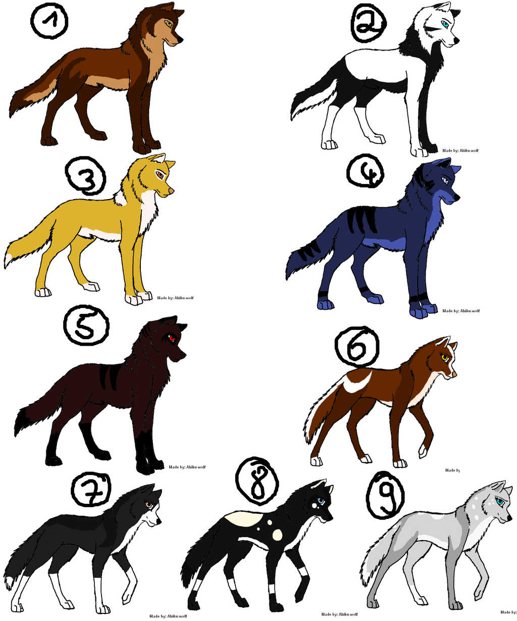 wolf point adoptables