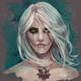 Ciri wip