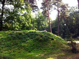 Hiding in plain view