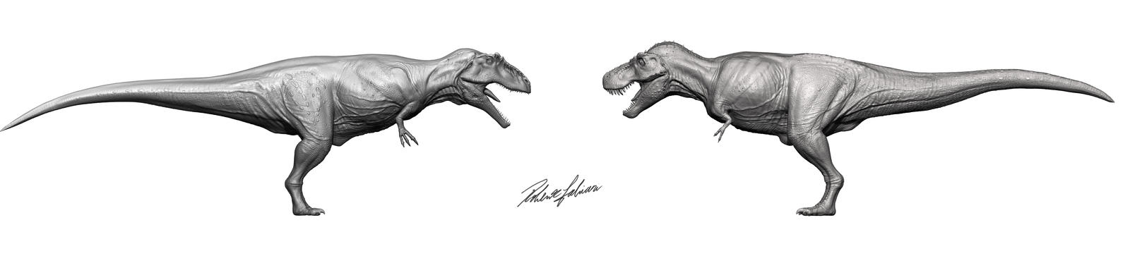 T-Rex vs Giganotosaurus by robertfabiani on DeviantArt - Giganotosaurus Vs T Rex Size