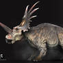 Styracosaurus