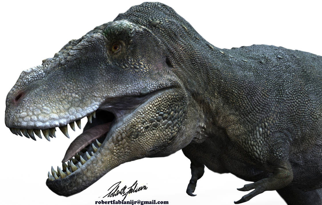 Tarbosaurus Bataar By Robertfabiani On DeviantArt tarbosaurus-bataar-by-robertfabiani-on-deviantart