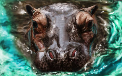 Speed Drawing : Hippo