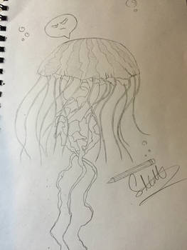 Salty Jellyfish