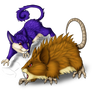 Rattata and evo