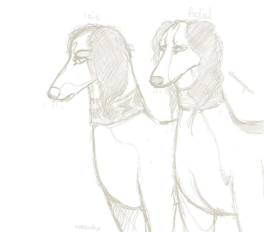 Sketch by AkumaAgma
