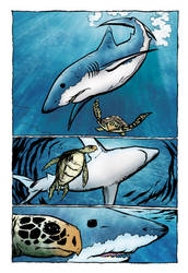 A Shark Story