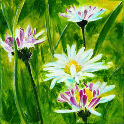 Daisies Triptych - Part one