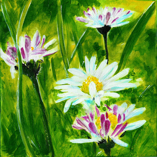 Daisies Triptych - Part one