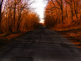 Autumn Path