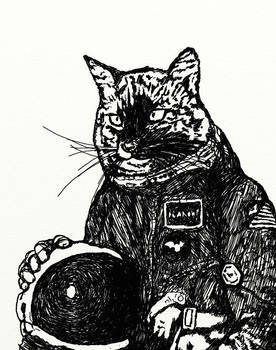 20101201- Russian Space Cat