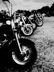 Harleys at the camp