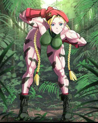 Cammy Artwork 