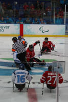 Sledge Hockey 3