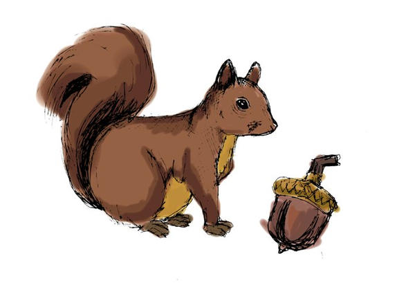 Squirrel Deviantart Squirrel by methcooker on DeviantArt