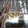 Bridge Over Creek