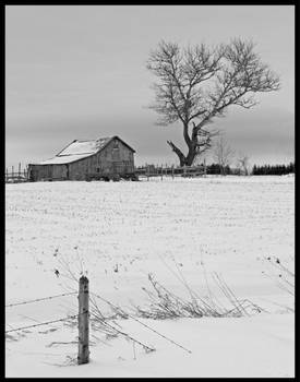 Winter Farm