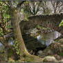 Newlands Valley Bridge