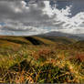 Looking Southwest to Skiddaw