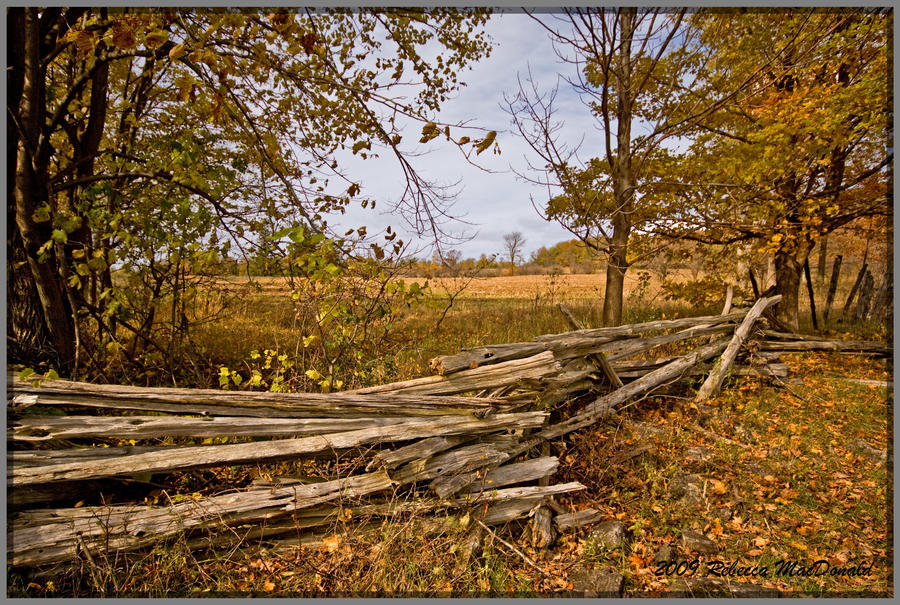 Autumn Fence 1 shot in RAW