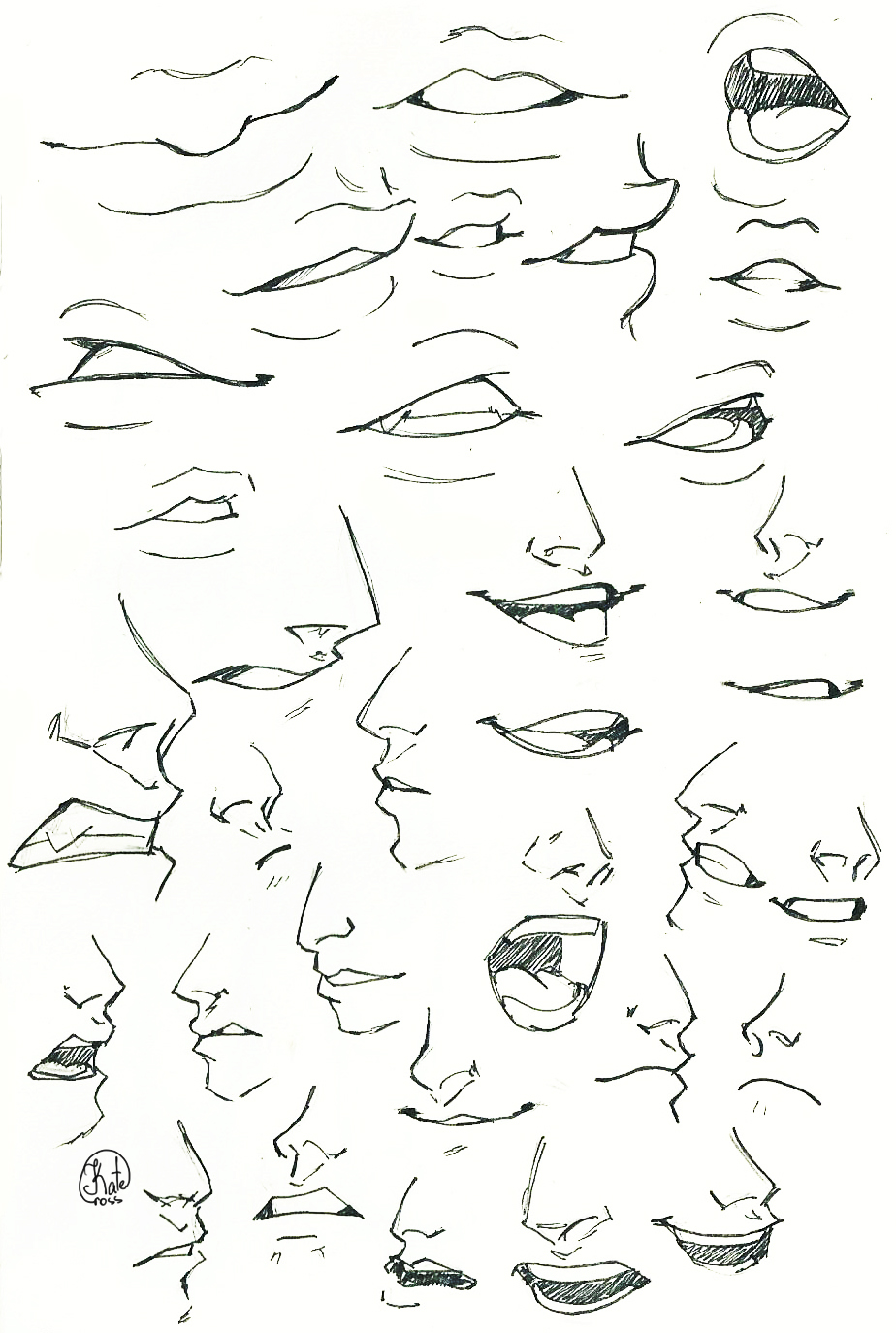 Sketch.  Mouth and nose