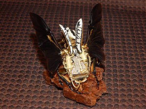 Steampunk Goliath Beetle - Reverse