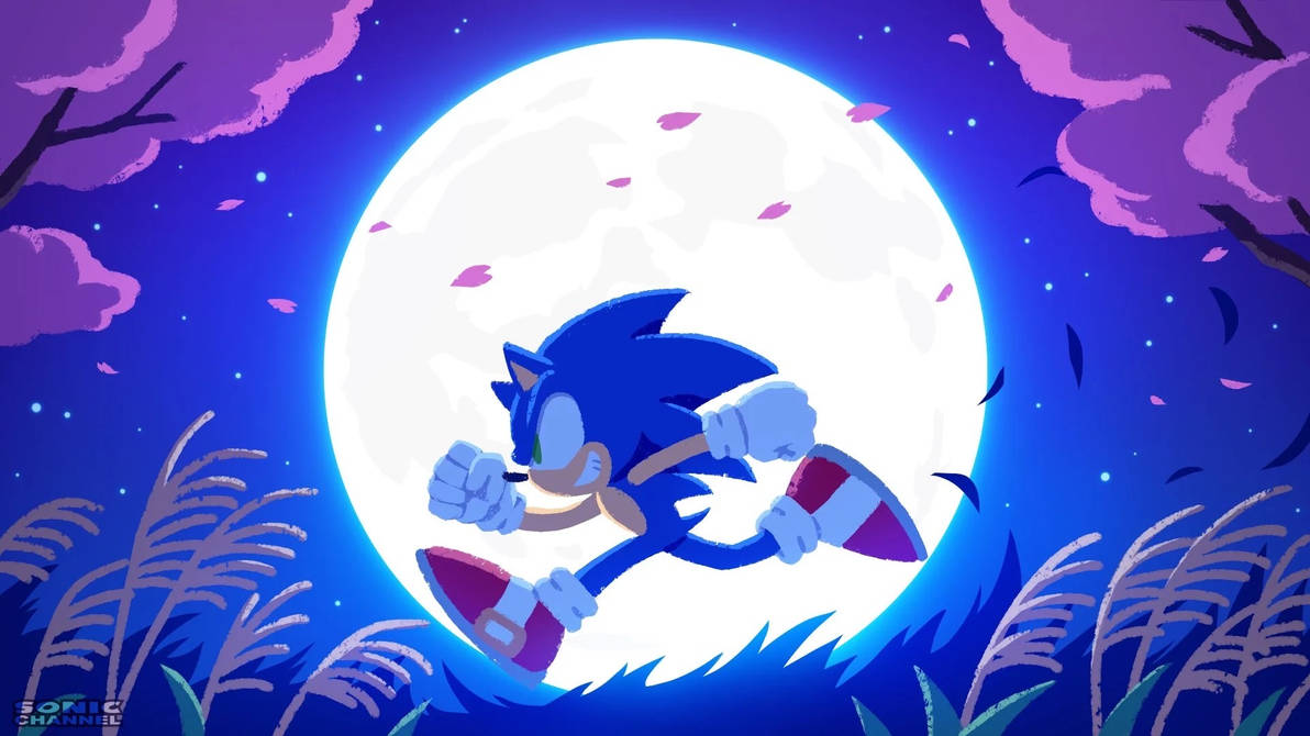 Sonic fan art by prove22222 on DeviantArt