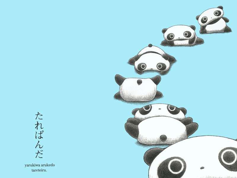 Tarepanda Wallpaper By Raynou On Deviantart Tarepanda Wallpaper By Raynou On Deviantart