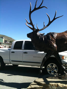 Elk statue