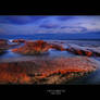 Freshwater