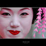 Maiko-san