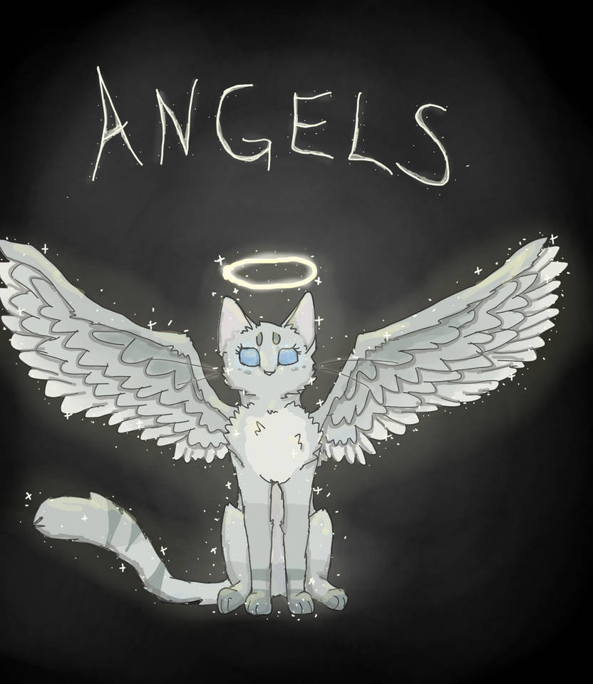 Not About Angels by IvypoolForever