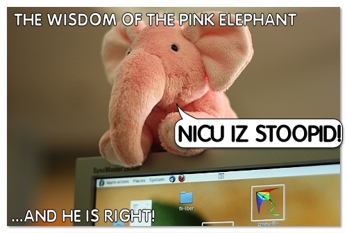 The Pink Elephant