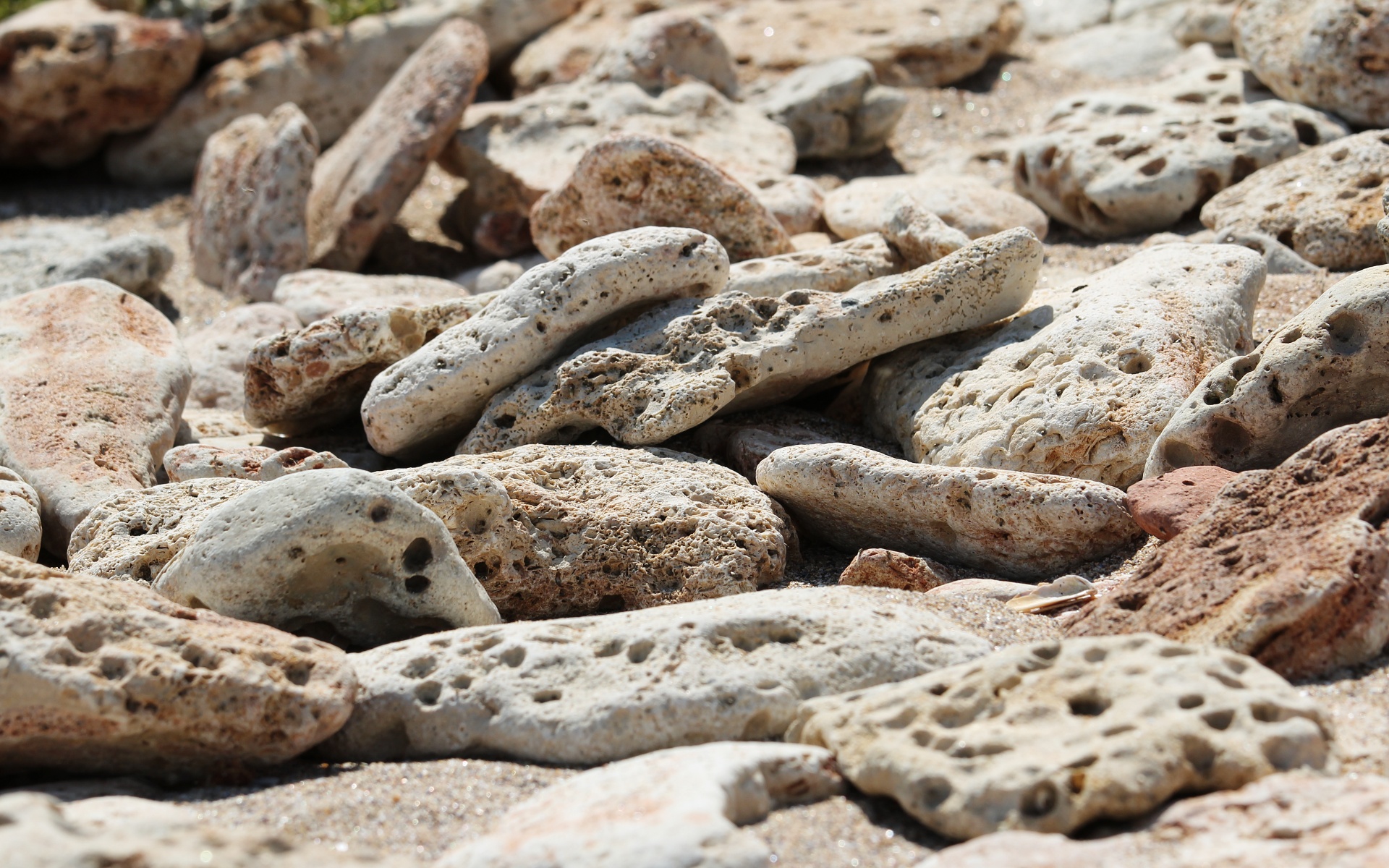 Beach rocks