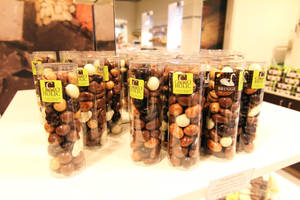 Choco-mania