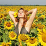 Sunflower bath
