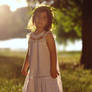 Summer light