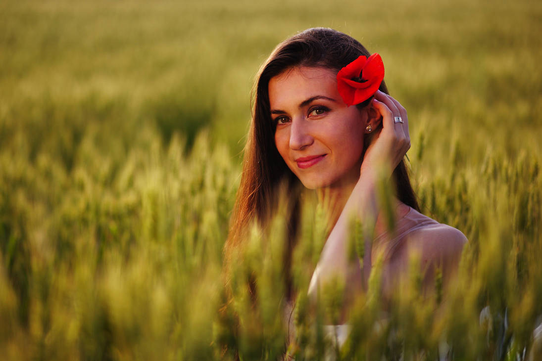Red poppy by nicubunu Red poppy by nicubunu