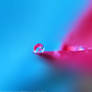 Water Droplet Stock