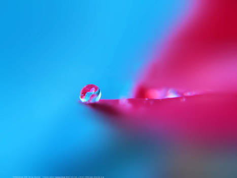 Water Droplet Stock