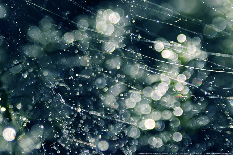 Blue Bokeh by onixaStock