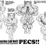 Muscle lab vol2 :Pecs cover